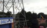 Salford Dogs4Us Demolition